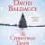 David Baldacci – The Christmas Train Audiobook