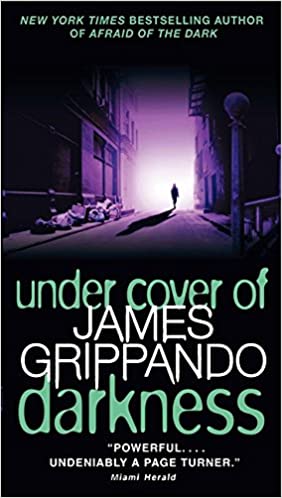 James Grippando - Under Cover of Darkness Audiobook